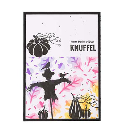 Kürbis-Essentials Nr. 877