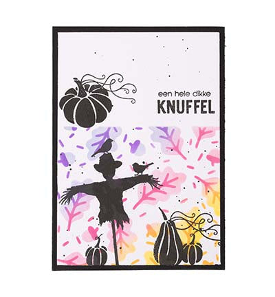 Kürbis-Essentials Nr. 877