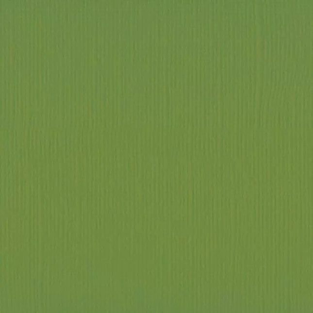 Florence • Cardstock Struktur 30,5x30,5cm Olive