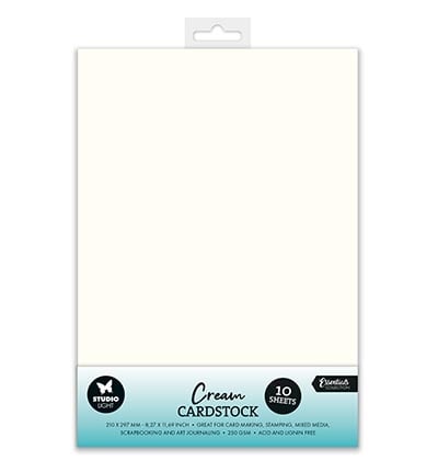 SL Papier-Set Verbrauchsmaterial Cremefarbener Karton 250 g/m² Nr. 40