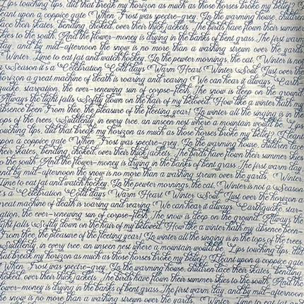 DELUXE ELEGANCE OF BLUE PAPIER SILBER A4 5/PKG