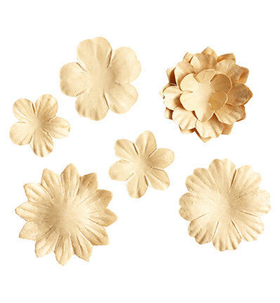 Blumen Kraft Verbrauchsmaterial Nr.15