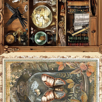 Reispapier A5 gemischt 8/Stück Cabinet of Curiosities
