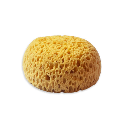 Schwammfarbe