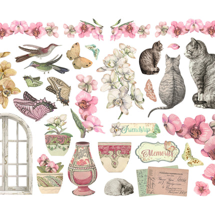 Ephemera - Orchideen und Katzen