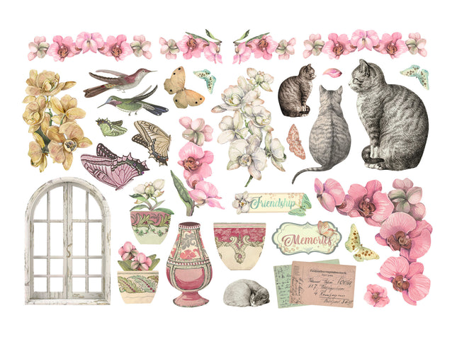 Ephemera - Orchideen und Katzen