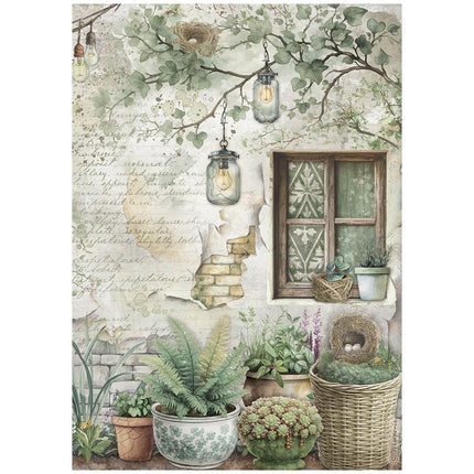 A4 Reispapier verpackt - Herbarium Silvae Fenster