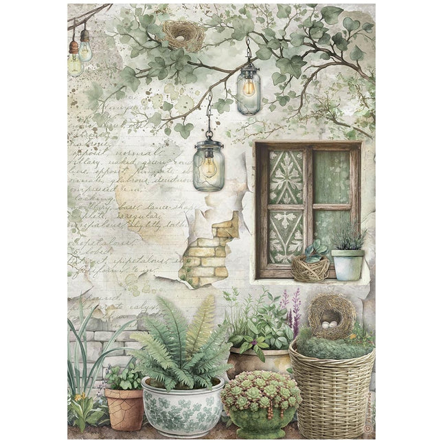 A4 Reispapier verpackt - Herbarium Silvae Fenster
