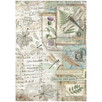 A4 Reispapier verpackt - Herbarium Silvae Botanisch