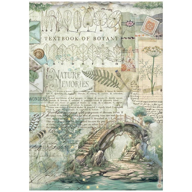 A4 Reispapier Packung - Herbarium Silvae Brücke