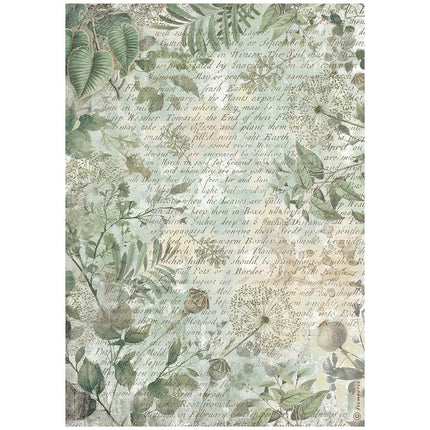 A4 Reispapier verpackt - Herbarium Silvae Blätter Hintergrund