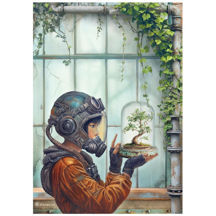 A4 Reispapier Pack - A new Beginning Terrarium