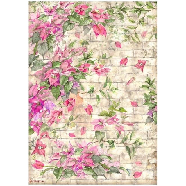 A4 Reispapier verpackt - Blue Dream Bougainvillea