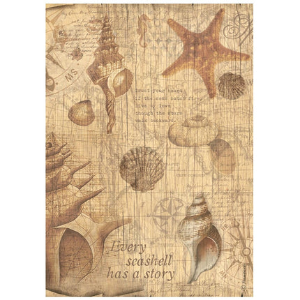 A4 Reispapier Packung - Sea Land Muscheln