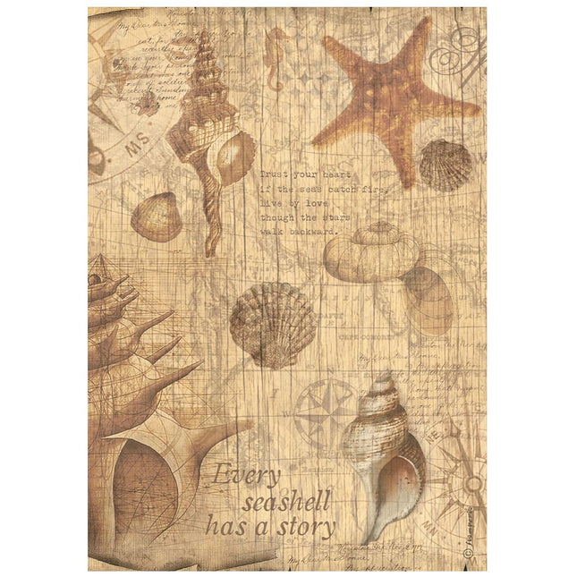 A4 Reispapier Packung - Sea Land Muscheln