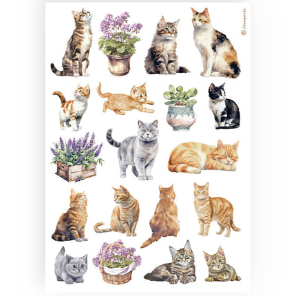 A4 Reispapier Packung - Katzen