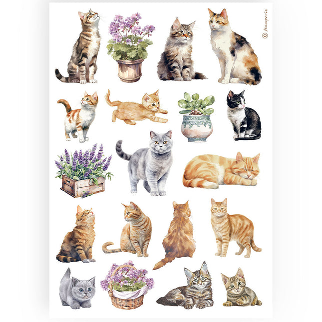 A4 Reispapier Packung - Katzen