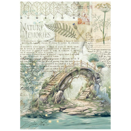 Mini Reispapier A6 8 Blatt Herbarium Silvae
