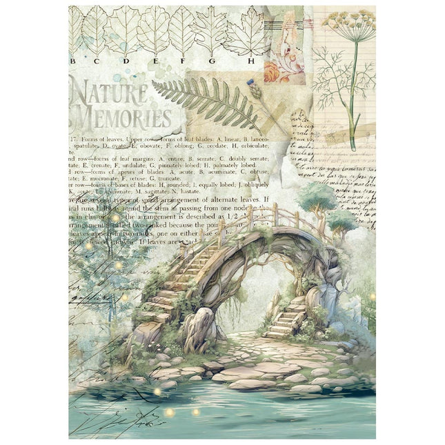 Mini Reispapier A6 8 Blatt Herbarium Silvae