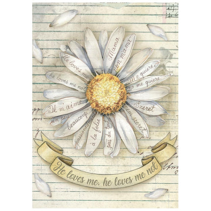 Mini Reispapier A6 8 Blatt Daisy Art