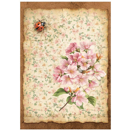 Bedrucktes Mini Reispapier A6 8 Blätter für Kunst und Handwerk - All Around