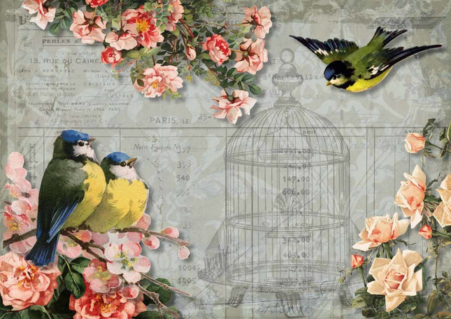 Meisen und Rosen mit Vogelkäfig A4