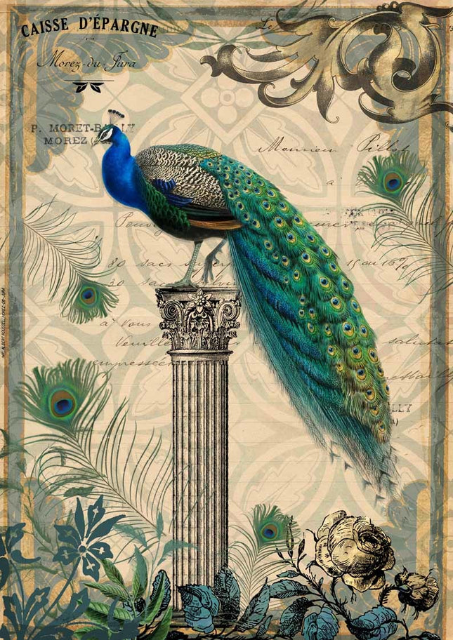 Pfau auf einem Podest A4
