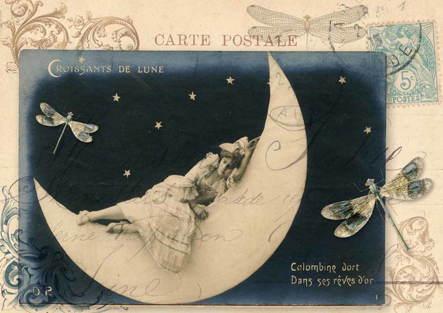 Dame auf dem Mond A4