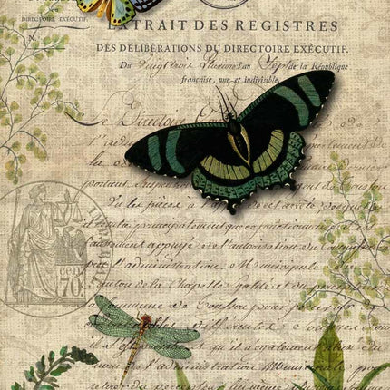 Schmetterlings-Botanicals A3