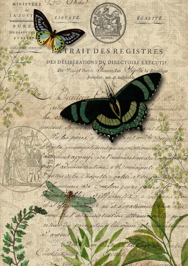 Schmetterlings-Botanicals A3
