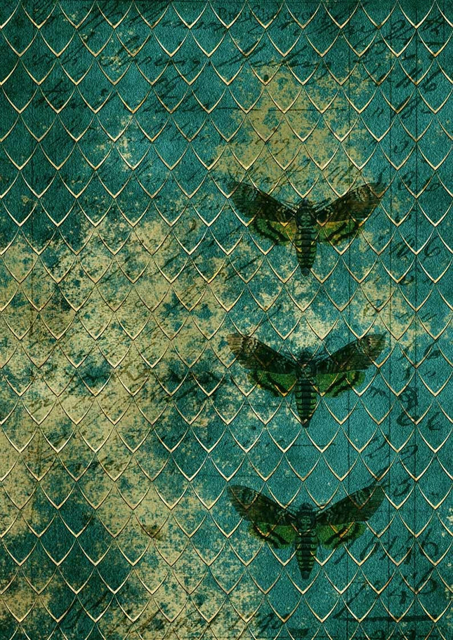 Drachenschuppen