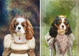 Roberta Marone - Die Cavalier Ladies A4