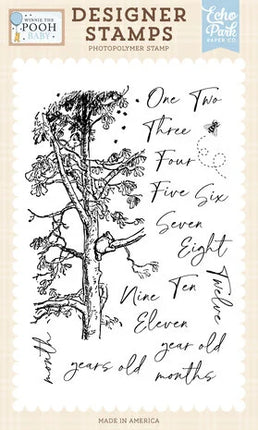 Winnie The Pooh Baby Designer Stempel Erste Jahresmeilensteine