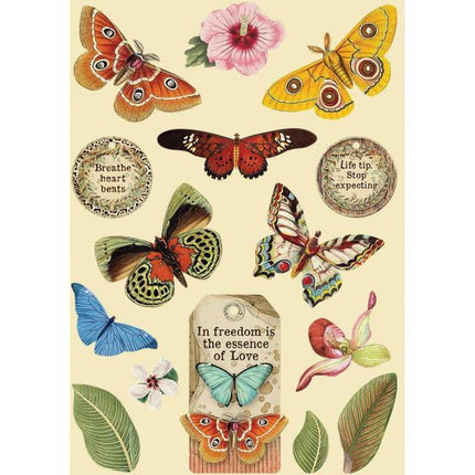 Bunter Holzrahmen A5 - Amazonia Schmetterling