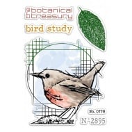 Klarsichtstempel Set 4"x6" Vogelstudie