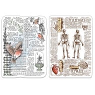 Klarsichtstempel Set 4"x6" Mensch & Natur