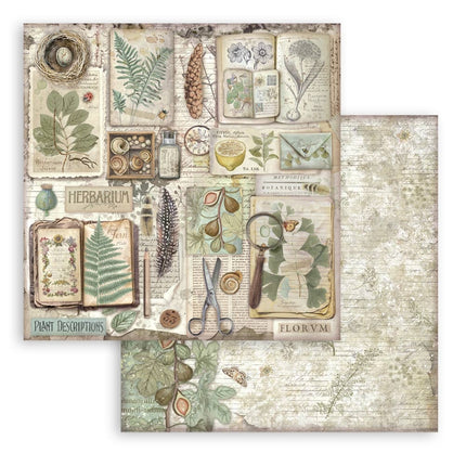 Papierblock 30,5x30,5 cm - 10 Blatt - Herbarium Silvae